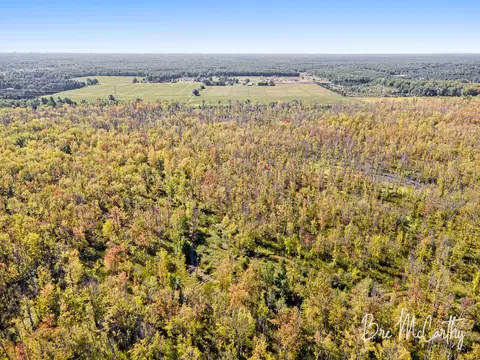 View/Area - 6353 E M-20, Hesperia, MI 49421 photo 7 of 11