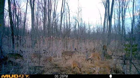 Other - 6353 E M-20, Hesperia, MI 49421 photo 1 of 7