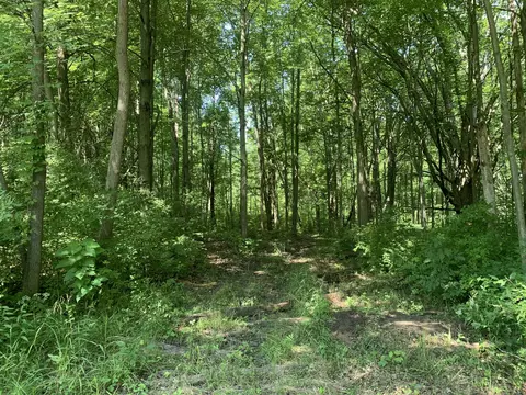 0 Bunton Rd, Willis, MI 48191 photo 5