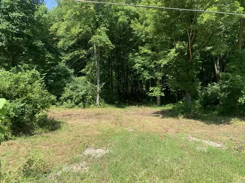 0 Bunton Rd, Willis, MI 48191 photo 3