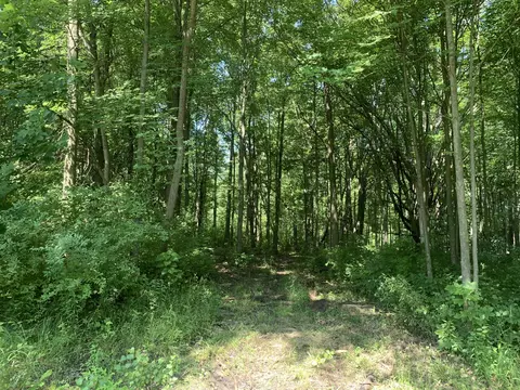 0 Bunton Rd, Willis, MI 48191