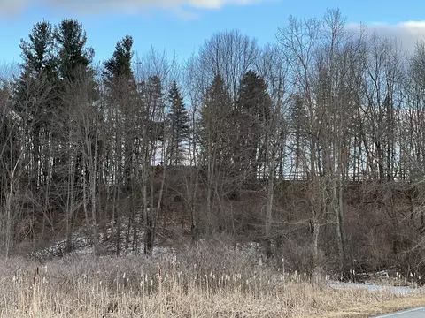 View/Area - 7990 Benn Rd, Parma, MI 49269 photo 3 of 5