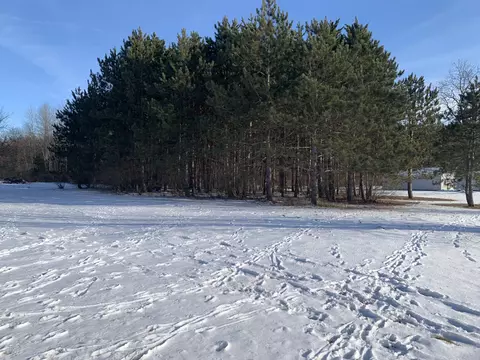 V/l 180th Avenue, Big Rapids, MI 49307