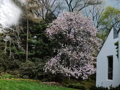 Other - 2855 Devonshire Rd, Ann Arbor, MI 48104 photo 10 of 10