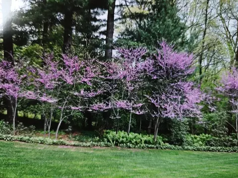 Exterior - 2855 Devonshire Rd, Ann Arbor, MI 48104 photo 19 of 24