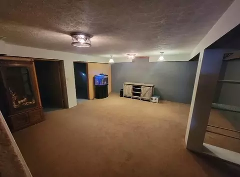 355 Roosevelt St, Bronson, MI 49028 photo 19
