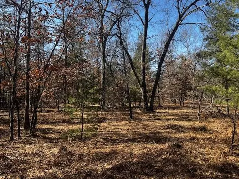 Vl Forman Road, Baldwin, MI 49304 photo 14