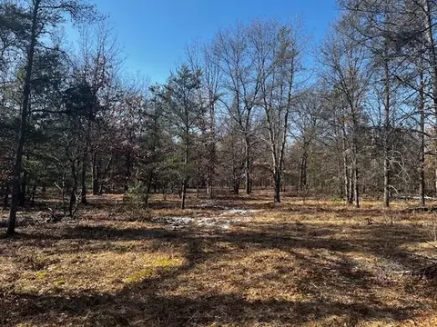 Vl Forman Road, Baldwin, MI 49304 photo 10