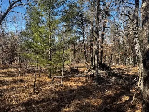 Vl Forman Road, Baldwin, MI 49304 photo 15