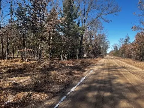 Vl Forman Road, Baldwin, MI 49304 photo 9