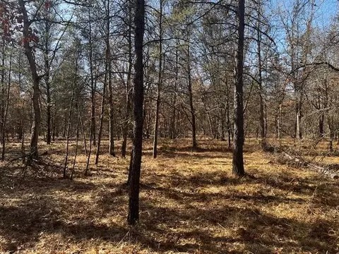 Vl Forman Road, Baldwin, MI 49304 photo 3