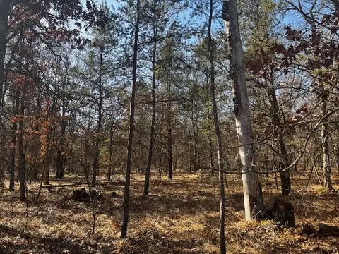 Vl Forman Road, Baldwin, MI 49304 photo 6