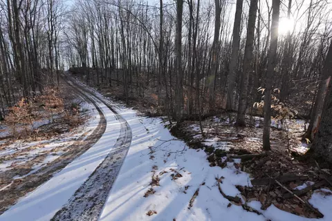 10 Timber Rdg, East Jordan, MI 49727