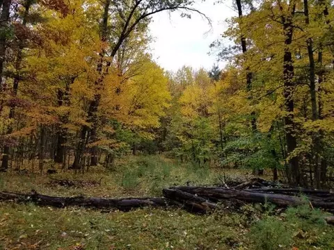 Other - 5953 E 48th St, Newaygo, MI 49337 photo 5 of 9
