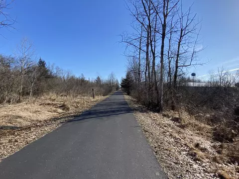 Pine Street, Edmore, MI 48829 photo 22