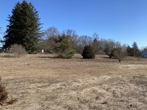 Pine Street, Edmore, MI 48829 photo 2