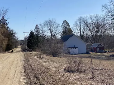 Pine Street, Edmore, MI 48829 photo 6