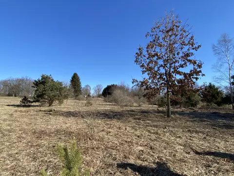 Pine Street, Edmore, MI 48829