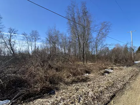Pine Street, Edmore, MI 48829 photo 11