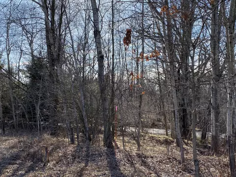 Pine Street, Edmore, MI 48829 photo 25
