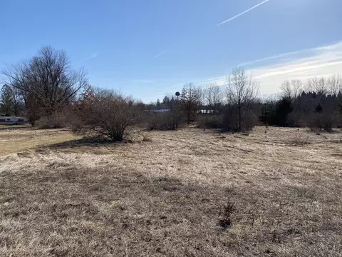 Pine Street, Edmore, MI 48829 photo 3