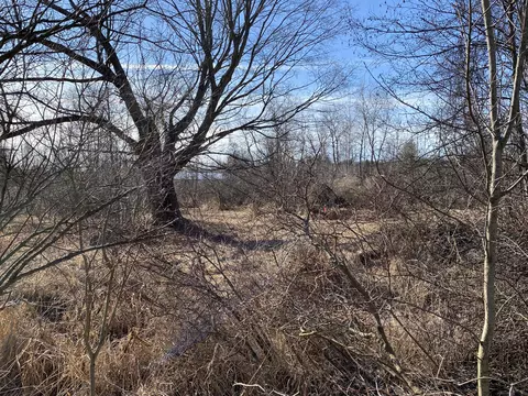 Pine Street, Edmore, MI 48829 photo 9