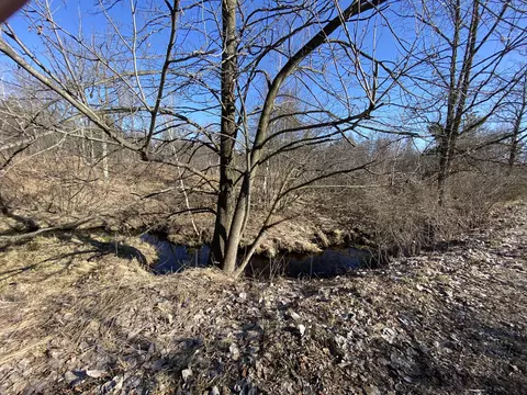 Pine Street, Edmore, MI 48829 photo 17