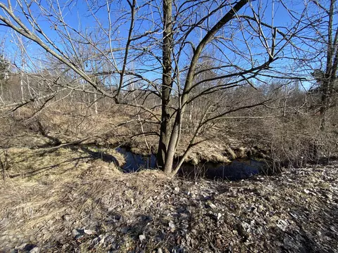Pine Street, Edmore, MI 48829 photo 18