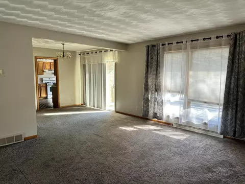 227 Dunham St, Sunfield, MI 48890 photo 9