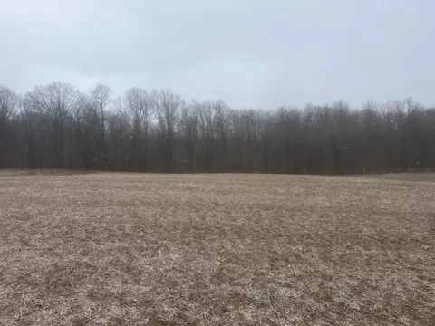 V/l 133rd Parcel A Avenue, Wayland, MI 49348