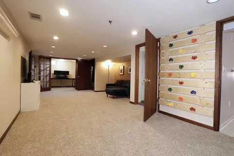 227 Tower, Saline, MI 48176 photo 23