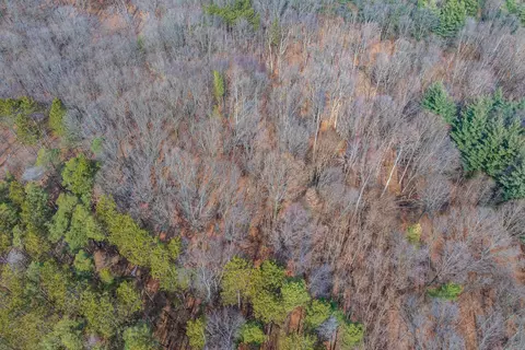 Reed Road, Three Rivers, MI 49093 photo 14