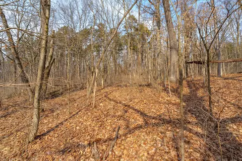 Reed Road, Three Rivers, MI 49093 photo 13
