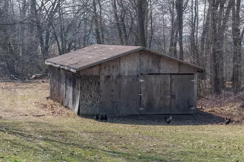 Other - 11703 Shavehead Lake Rd, Constantine, MI 49042 photo 11 of 11