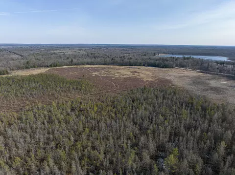 View/Area - 913 E Pierce Dr #PARCEL B & C, White Cloud, MI 49349 photo 14 of 14