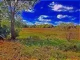 0-17 Austin Rd, Manchester, MI 49236