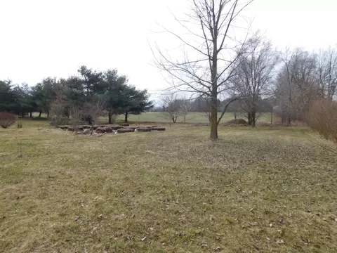4546 Badger Rd, Lyons, MI 48851 photo 27