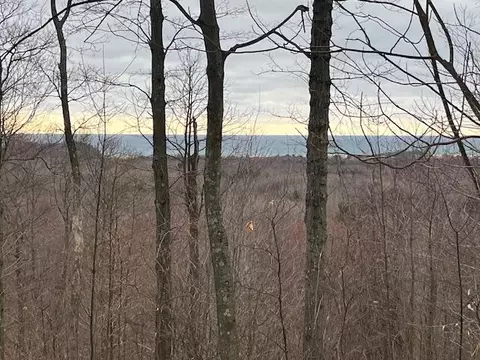 silver vista LOT 2, Mears, MI 49436