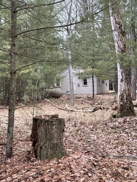 4573 N Able Rd, Irons, MI 49644 photo 7