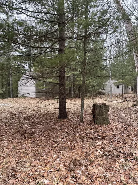 4573 N Able Rd, Irons, MI 49644 photo 24