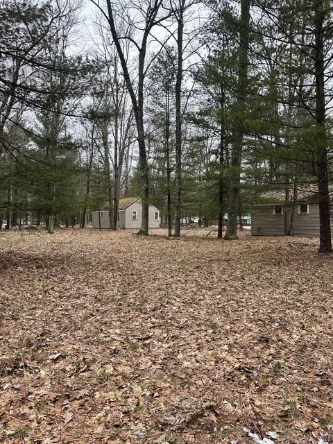 4573 N Able Rd, Irons, MI 49644 photo 23