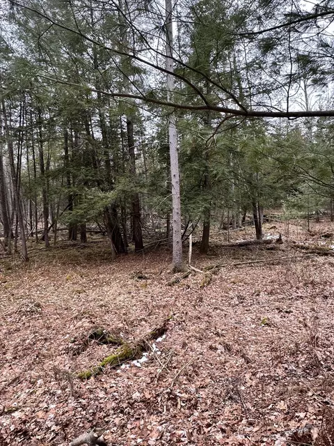 4573 N Able Rd, Irons, MI 49644 photo 25