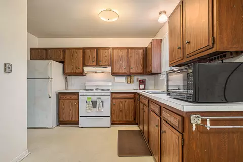 1029 Diane Dr, Colon, MI 49040 photo 4