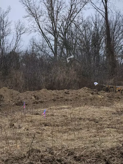 Vl Spring Arbor Road, Jackson, MI 49201 photo 5