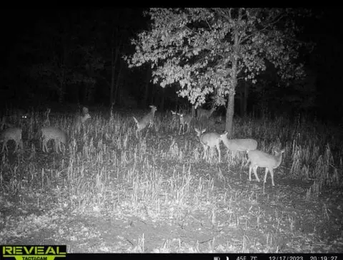 Other - 2992 E Upper Field Trl, Newaygo, MI 49337 photo 6 of 6