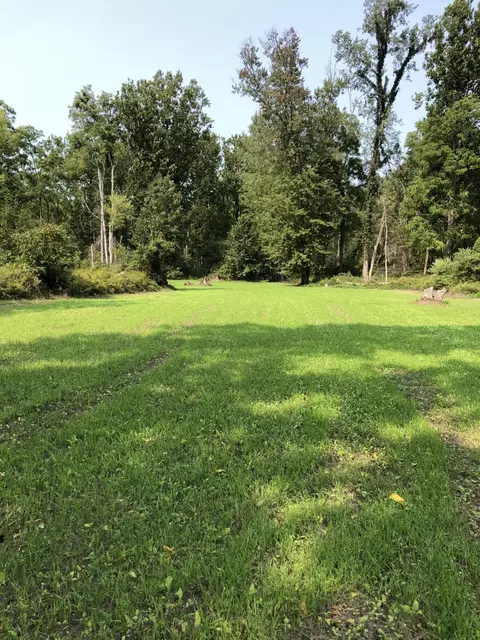 Exterior - 2992 E Upper Field Trl, Newaygo, MI 49337 photo 19 of 20