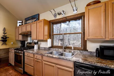Kitchen - 2992 E Upper Field Trl, Newaygo, MI 49337 photo 4 of 4