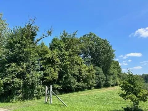 Cr 653, Gobles, MI 49055