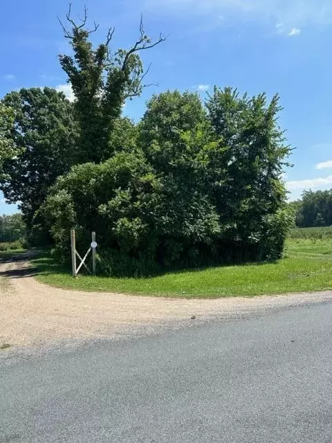 Cr 653, Gobles, MI 49055 photo 4