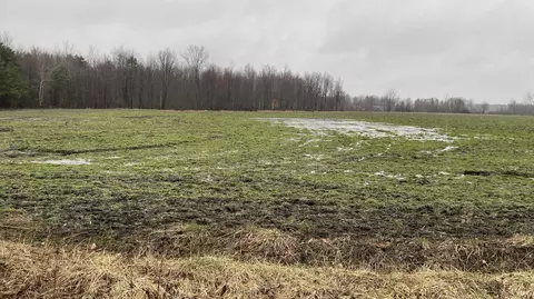 0 Sullivan Rd, Nunica, MI 49448